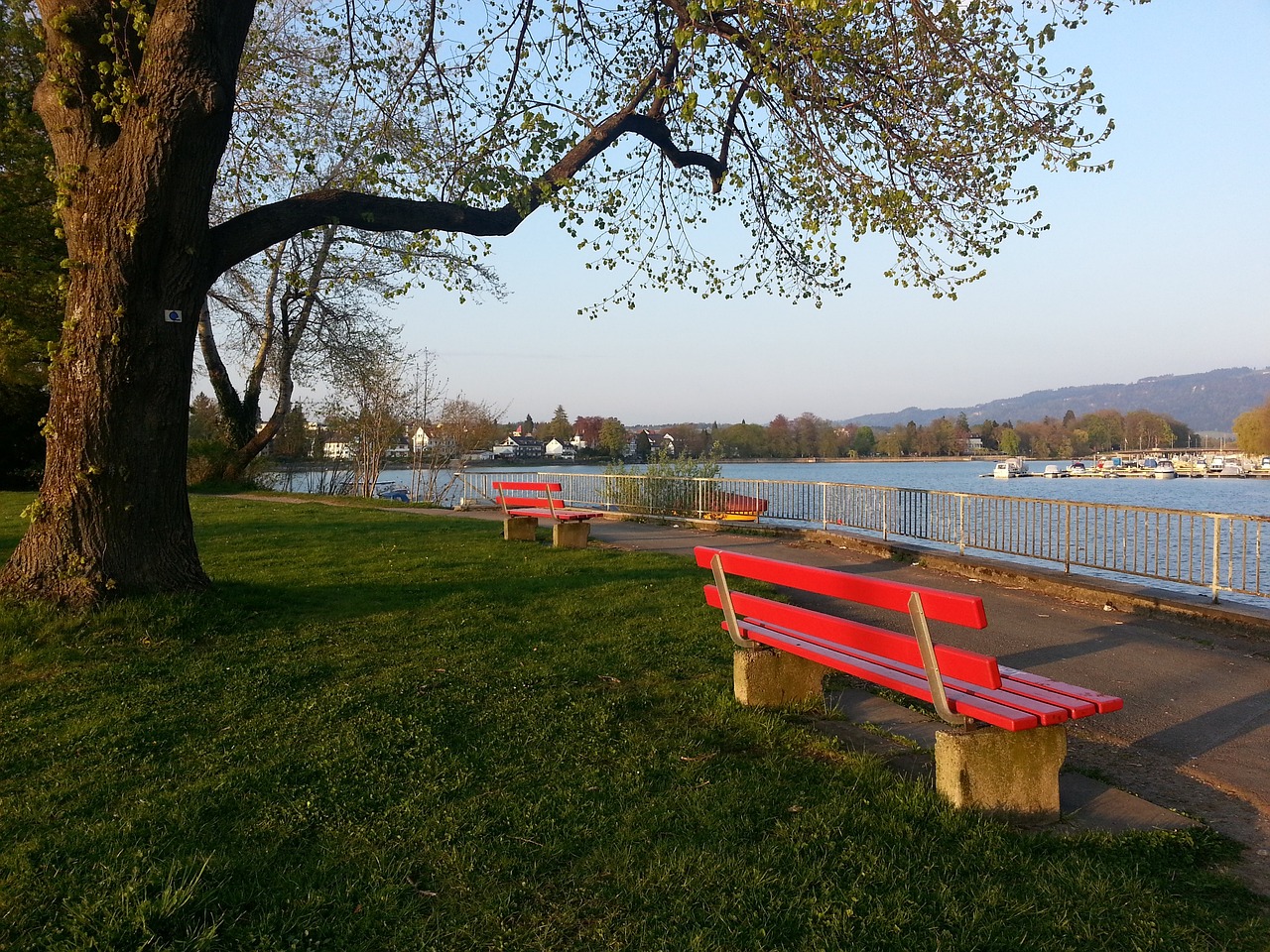 仅展示出申 仅展示出申