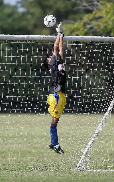 本文将带您 本文将带您