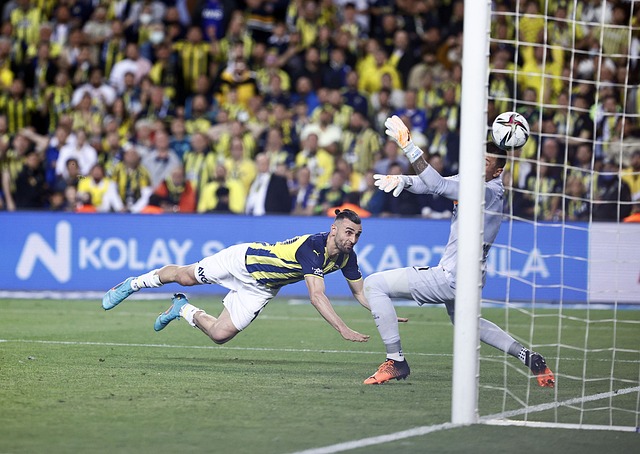 多变对我国 多变对我国